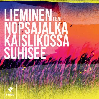 Kaislikossa suhisee (feat. Nopsajalka) by Lieminen