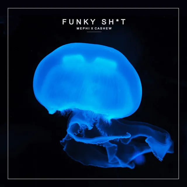 Funky Shit