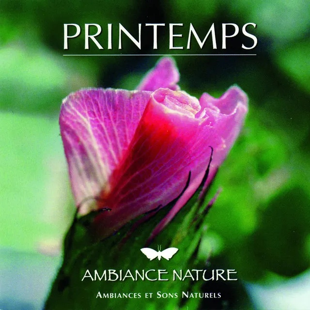 Ambiance Nature Printemps