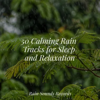 50 Calming Rain Tracks for Sleep and Relaxation by Sea Waves Sounds