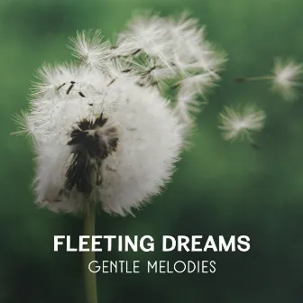 Fleeting Dreams – Gentle Melodies for Deep Relaxation, Soothing Music to Reach Inner Peace, Calm Falling Asleep by Emotional Healing Instrumental Academy