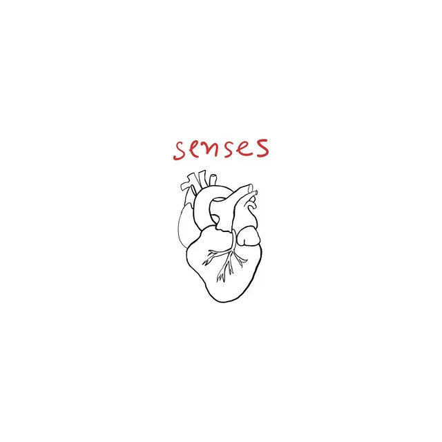 Senses