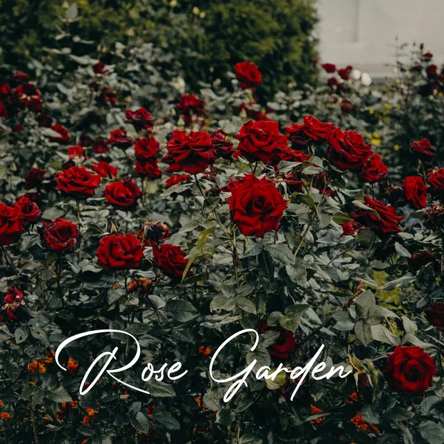 Rose Garden