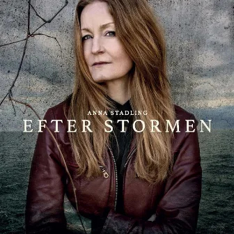 Efter stormen by Anna Stadling