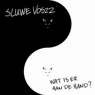 Wat Is Er Aan De Hand? by Sluwe Voszz