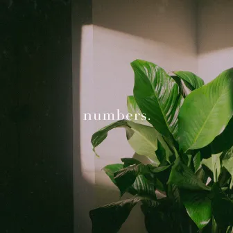 Numbers. by Dark Yet Lovely