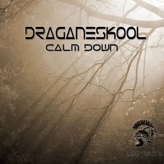 Calm Down by 