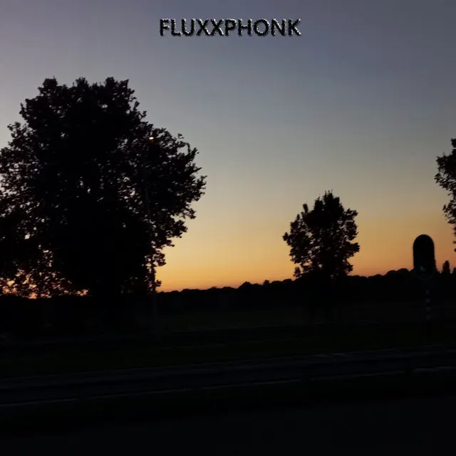 Fluxxphonk