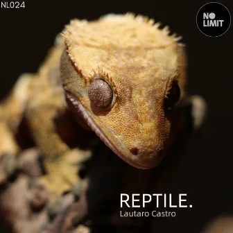 Reptile by Lautaro Castro