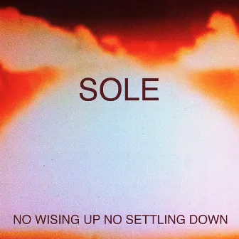 No Wising up No Settling Down by Sole