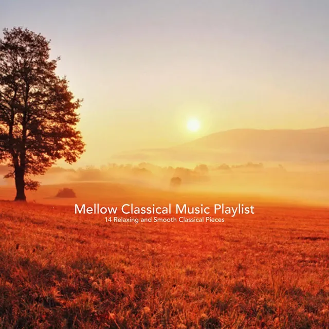 Mellow Classical Music Playlist:14 Relaxing and Smooth Classical Pieces