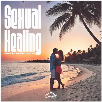 Sexual Healing by Amaranth Skies