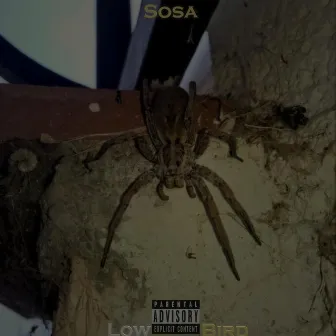 SOSA by Lil Bird