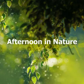 Afternoon in Nature by Nature Hub