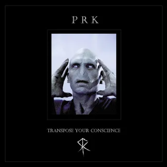 Transpose Your Conscience (Hard Mix) by PRK