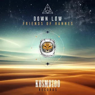 Down Low by Friends of Hannes