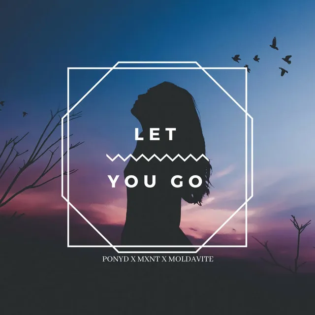 Let You Go