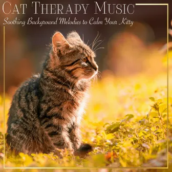 Cat Therapy Music: Soothing Background Melodies to Calm Your Kitty by Kitten Music Therapy