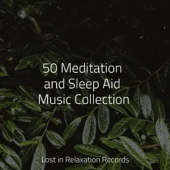 50 Meditation and Sleep Aid Music Collection by Lullabies for Deep Meditation