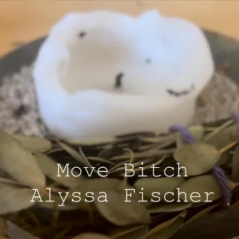 Move Bitch by Alyssa Fischer