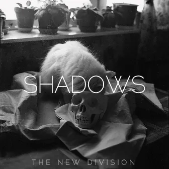 Shadows by The New Division