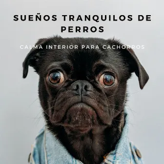 Sueños Tranquilos De Perros: Calma Interior Para Cachorros by Perros que se Quedan en Casa