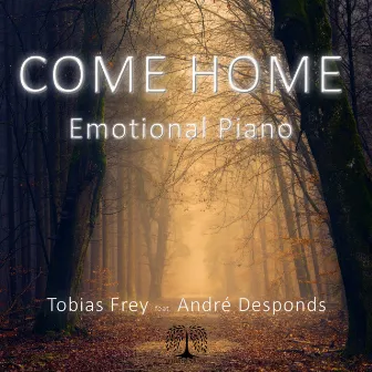 Come Home by Tobias Frey