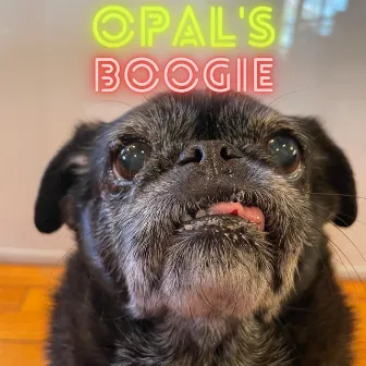 Opal's Boogie by Adrienne Baker