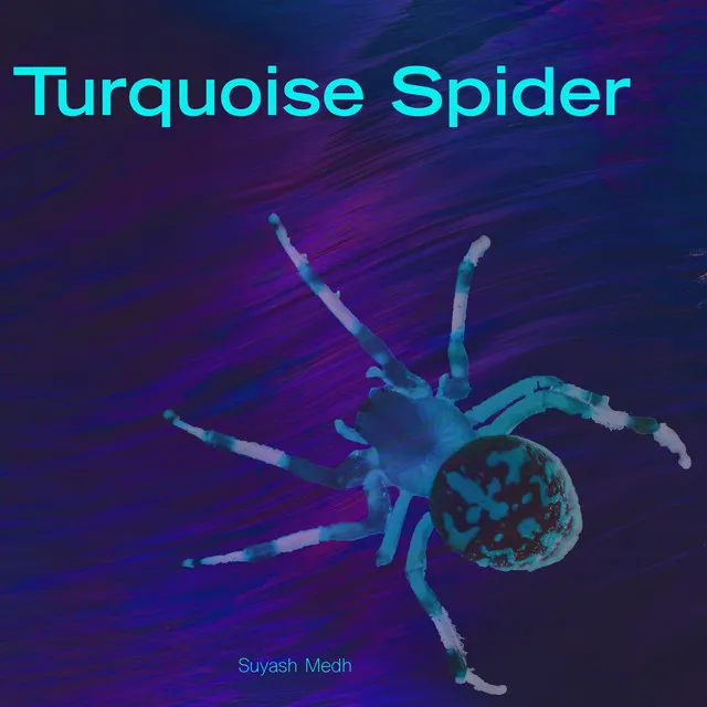 Turquoise Spider