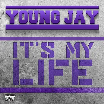 Its My Life (feat. Edric) by Young Jay