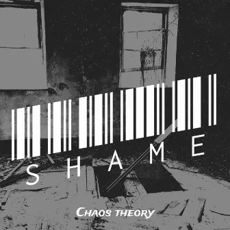 Shame by Unknown Artist