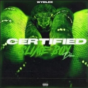 Slime Boy: Certified by WYBLee