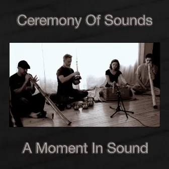 A Moment In Sound by Ceremony Of Sounds