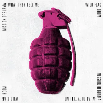 What They Tell Me / Boom by WILD FLAG