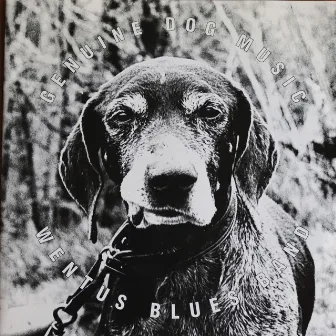 Genuine Dog Music by Wentus Blues Band