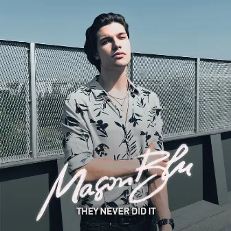 They Never Did It by Mason Blu