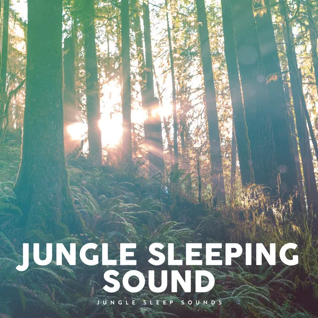 Jungle Sleeping Sound