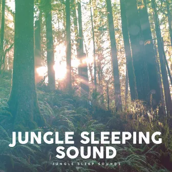 Jungle Sleeping Sound by Jungle Sleep Sounds