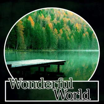 Wonderful World - New Age Soothing Music, Nature Sounds, Calming Contemporary Music, Relaxing Sounds, Piano by Peaceful Piano Music Collection