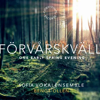 Förvårskväll by Bengt Ollen