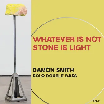 Whatever is Not Stone is Light by Damon Smith