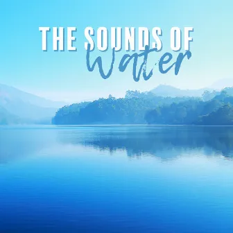 The Sounds of Water: Sea, Ocean and Rain Soundscapes with New Age Music by Calming Water Consort