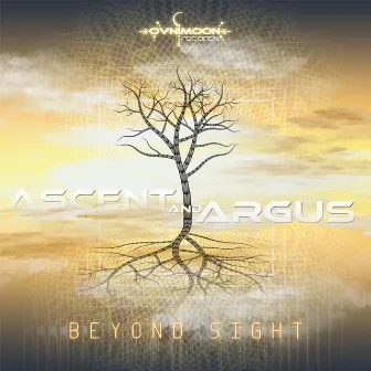 Beyond Sight by Argus