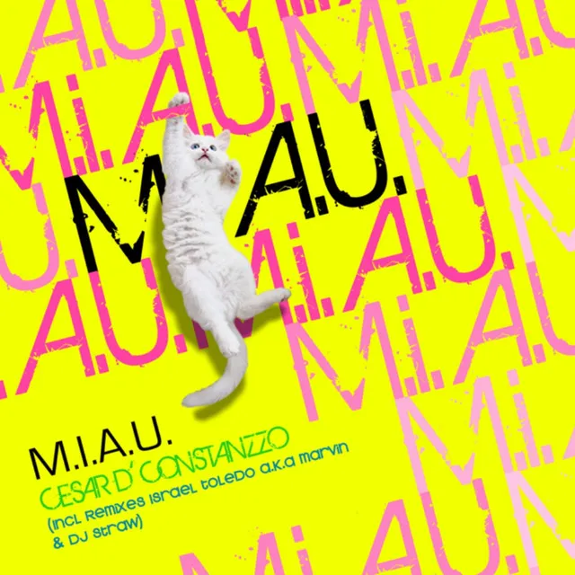 M.I.A.U. - Israel Toledo a.k.a. Marvin Remix