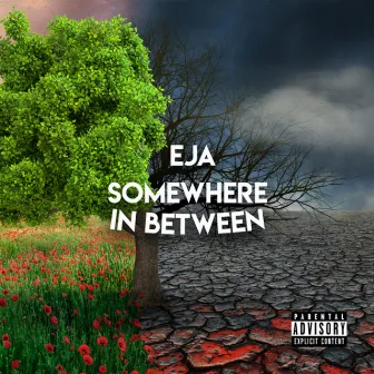 Somewhere in Between by EJA