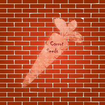 Carrot Seeds by Mitsh