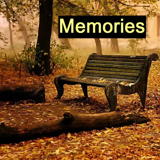 Memories