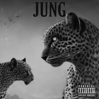 jung by MoHeat