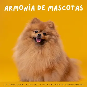 Armonía De Mascotas: Un Paraguas Lluvioso Y Una Serenata Atronadora by Sonidos pop de baja fidelidad