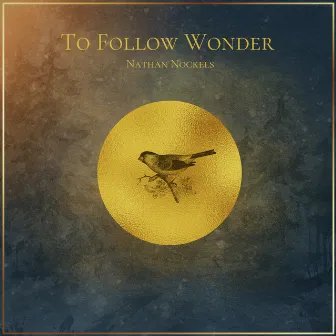 To Follow Wonder by Nathan Nockels